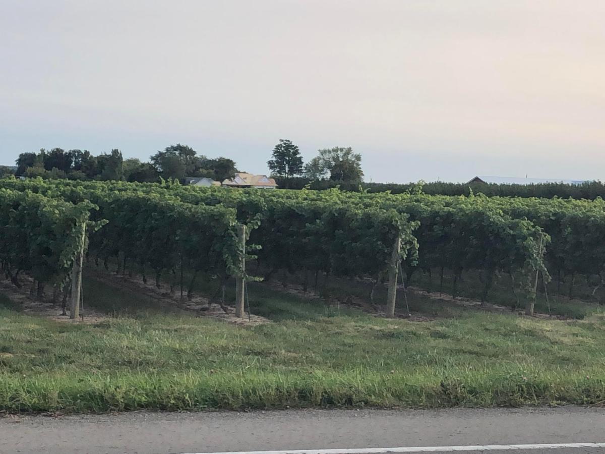 Villa In The Vines Niagara-on-the-Lake Exterior photo